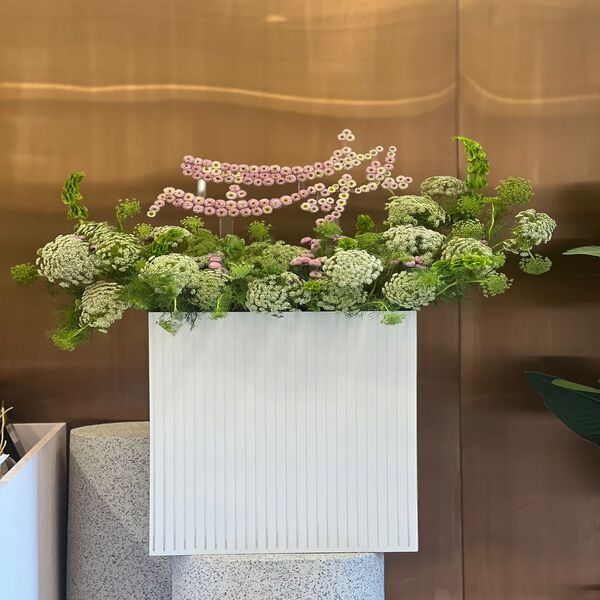 3ccc7d11_WhatsApp Image 2026-02-10 at 10.35.04 .jpeg